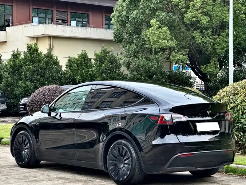 Tesla Model Y — миниатюра 9
