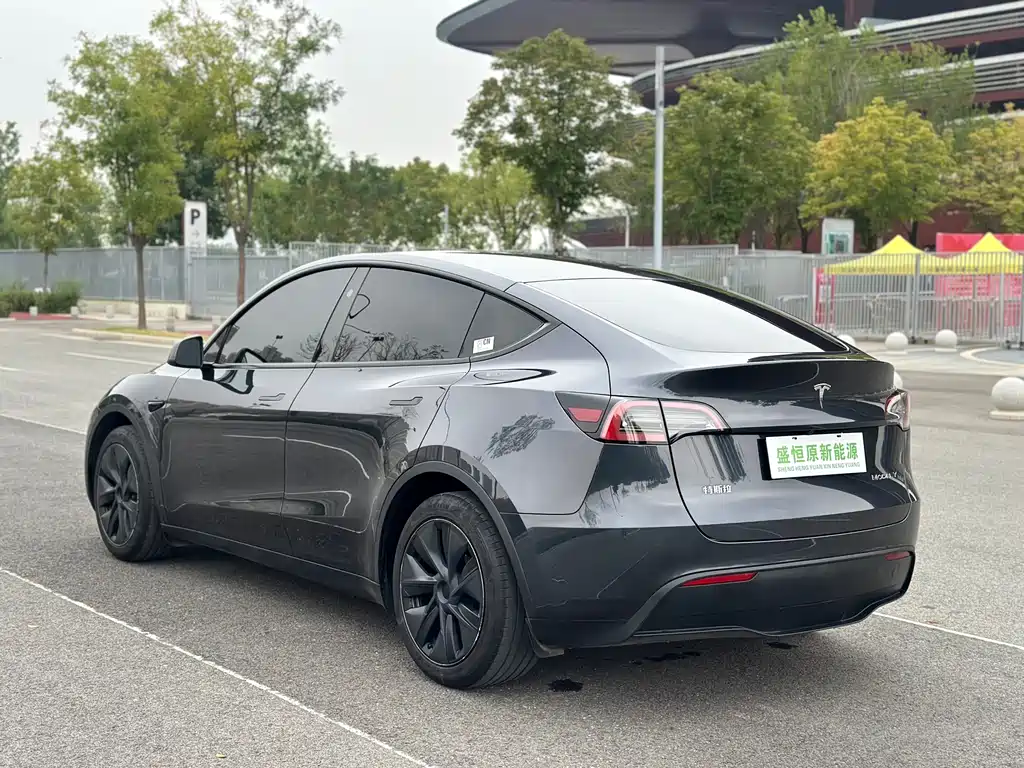 Tesla Model Y — миниатюра 17