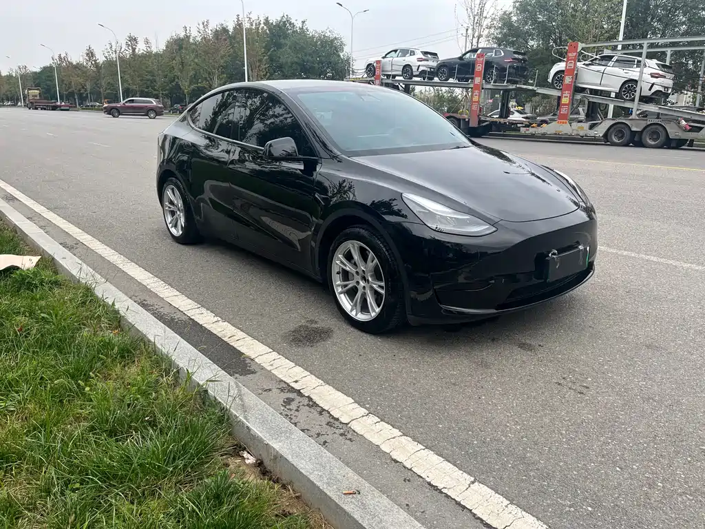 Tesla Model Y — миниатюра 3