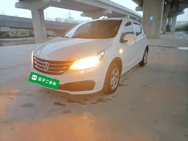 BAOJUN  310 2018