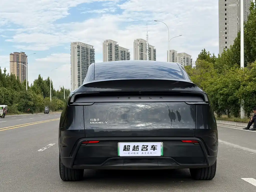 Tesla Model Y — миниатюра 16