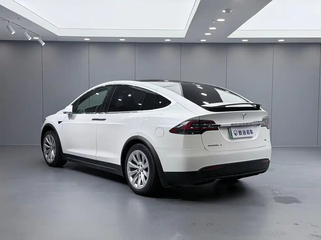 Tesla Model X — миниатюра 4