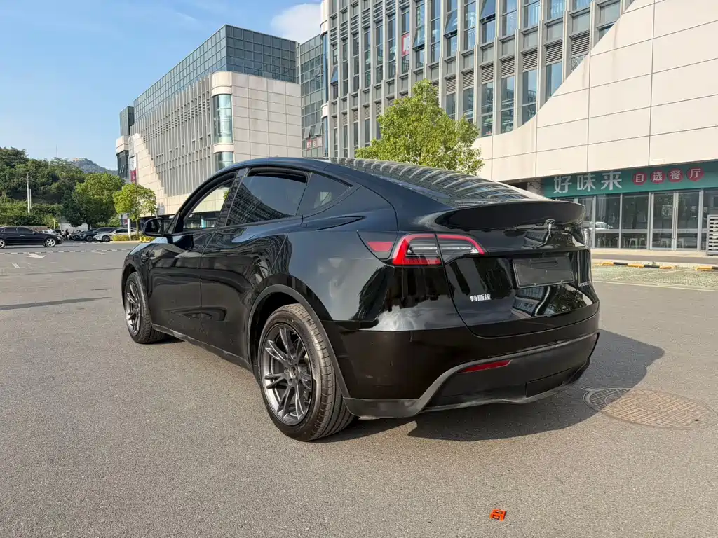Tesla Model Y — миниатюра 7