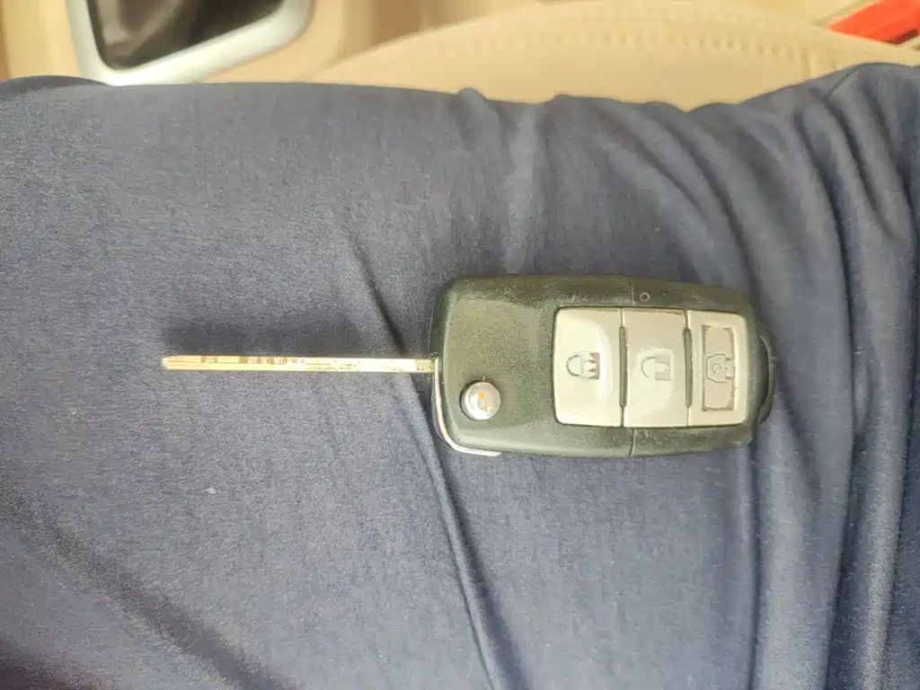 BAW Weiwang M20 — миниатюра 15
