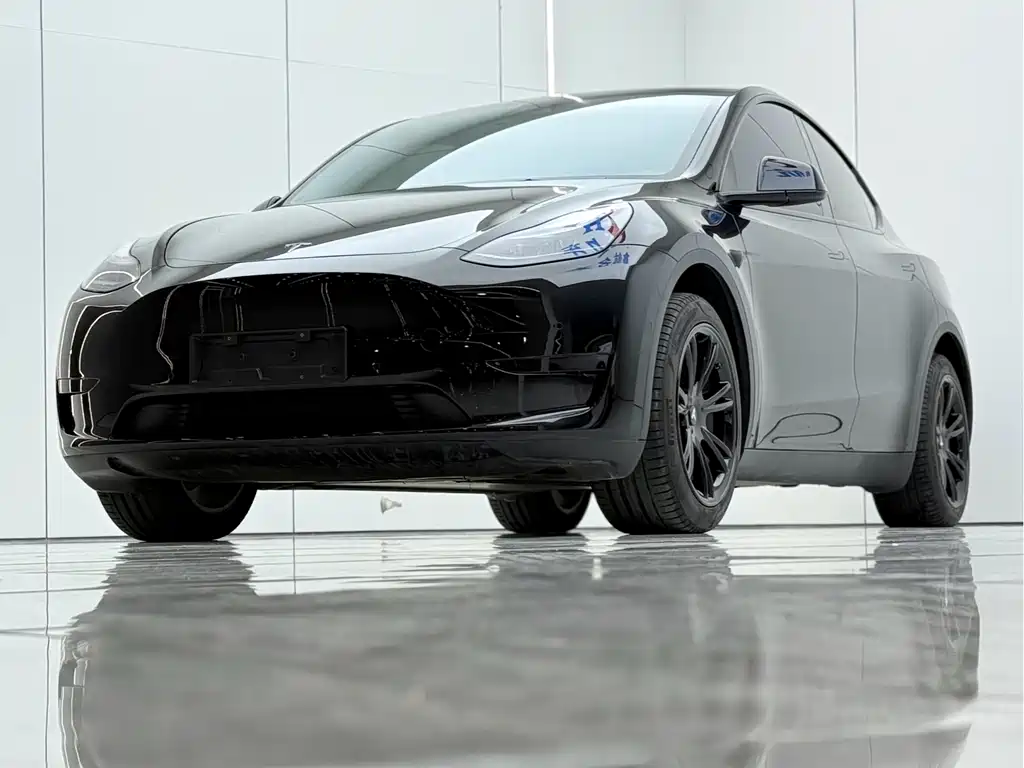 Tesla Model Y — миниатюра 2