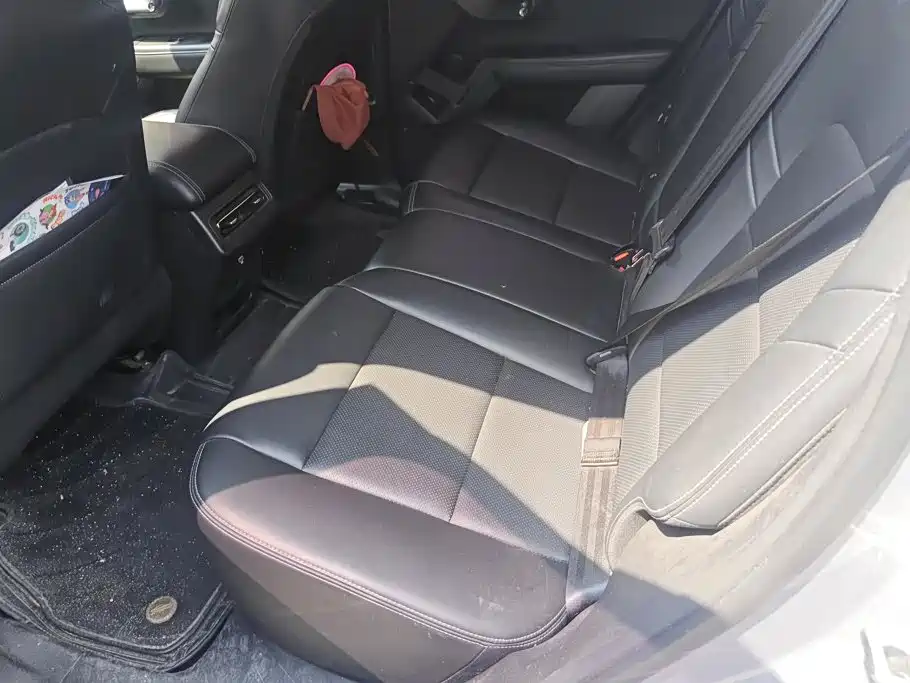 Haval Big Dog PLUS New Energy — миниатюра 11