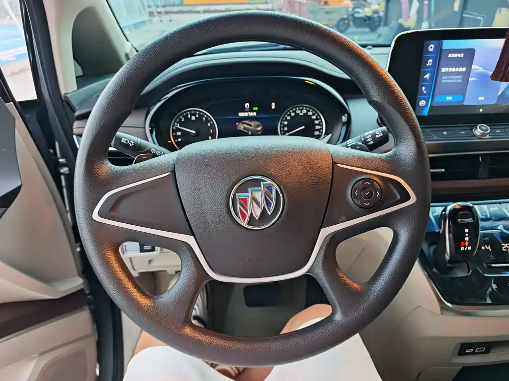 Buick GL8 — миниатюра 20