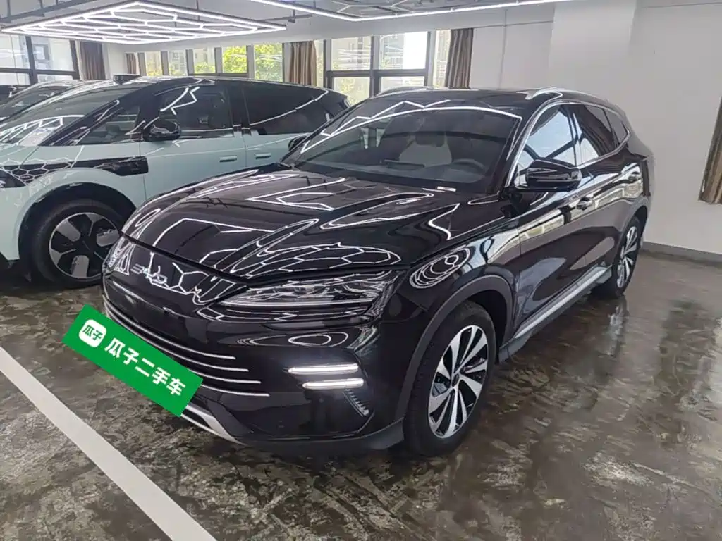 BYD PLUS New Energy — миниатюра 2