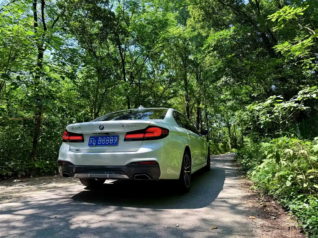 BMW 5 Series 5 2018 525Li M Sport