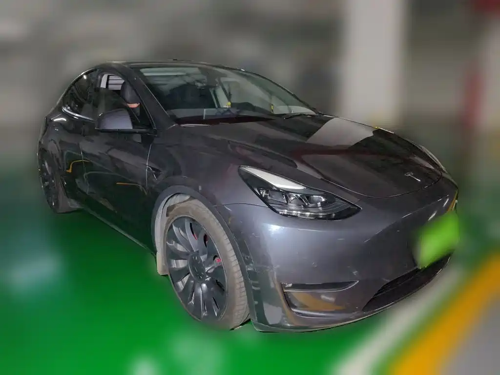 Tesla Model Y — миниатюра 4