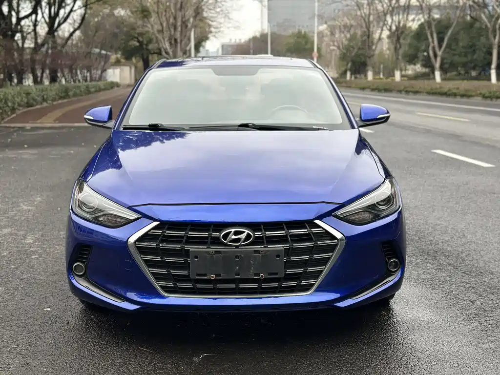 HYUNDAI LEAD