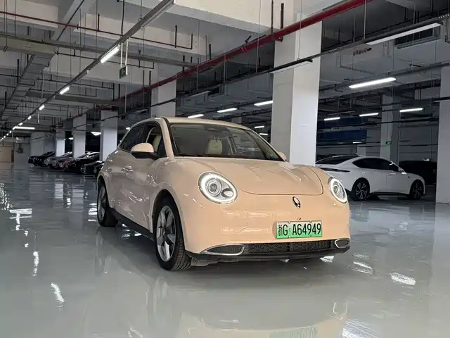 2021 Ora Good Cat