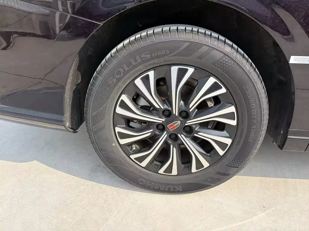 Hongqi Hongqi HQ9 — миниатюра 21