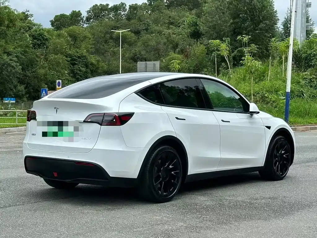 Tesla Model Y — миниатюра 9