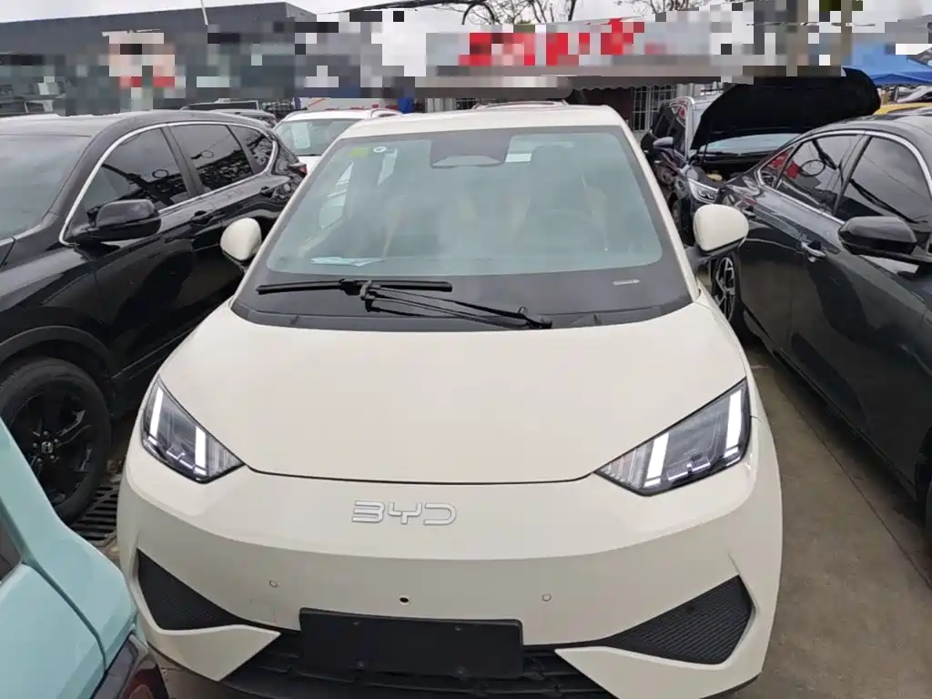 BYD Seagull 2025 Smart Drive 305km Freedom