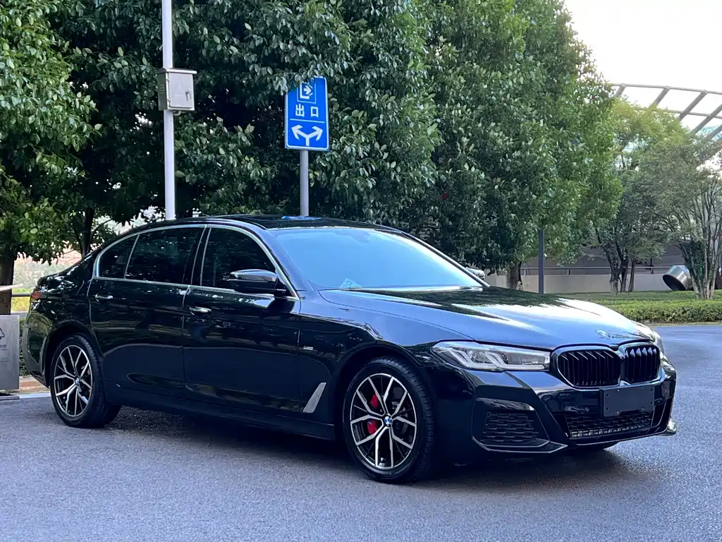 BMW 5 Series — миниатюра 3