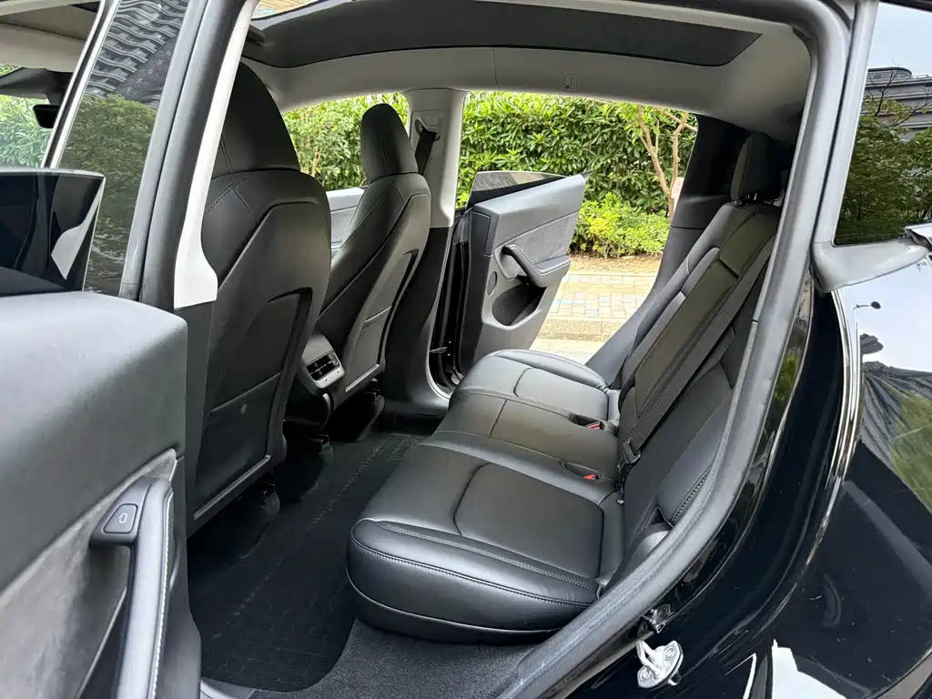 Tesla Model Y — миниатюра 13
