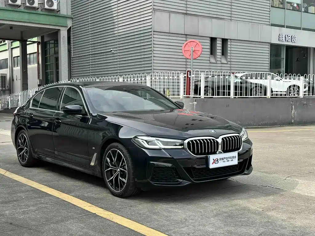 BMW 5 Series — миниатюра 3
