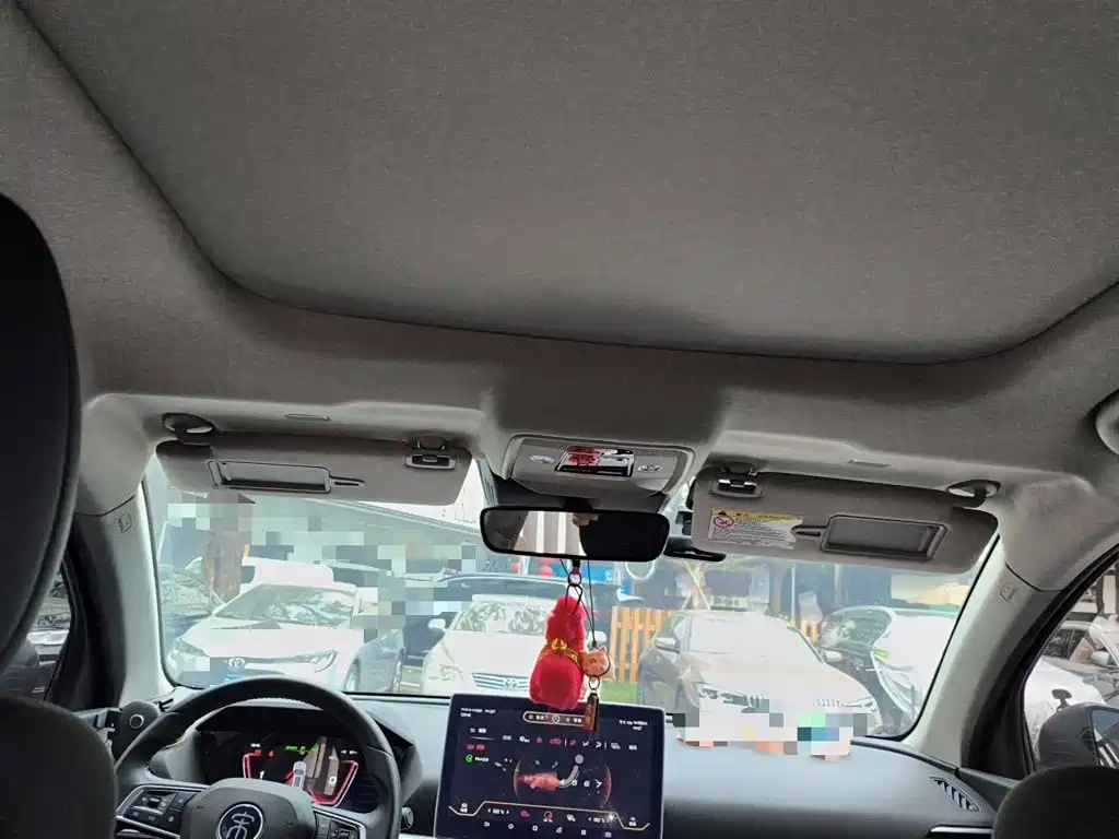 BYD Pro New Energy — миниатюра 19