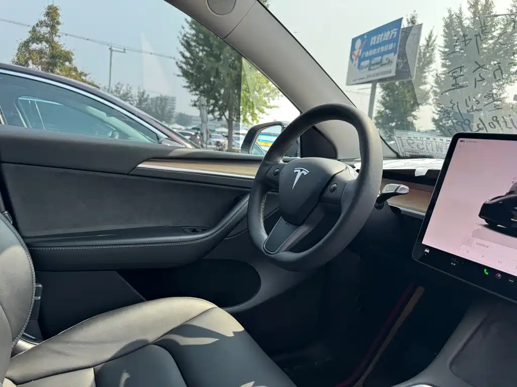 Tesla Model Y — миниатюра 11