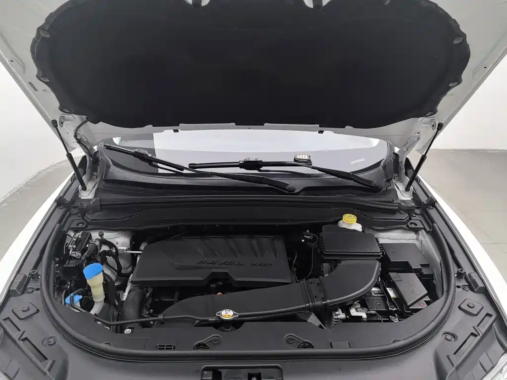 Haval H4 — миниатюра 6