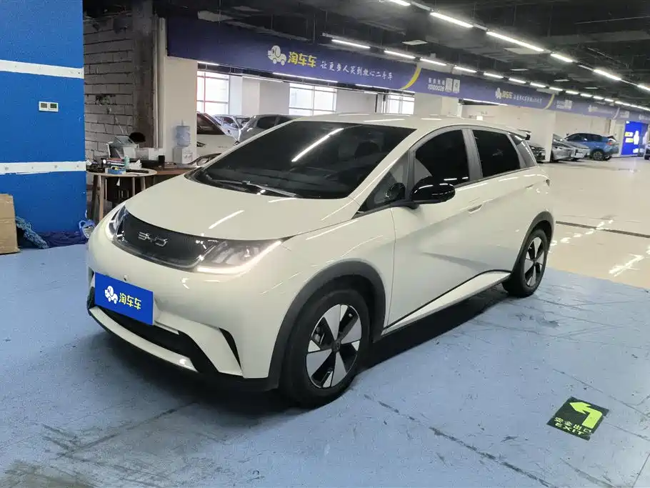 BYD Dolphin