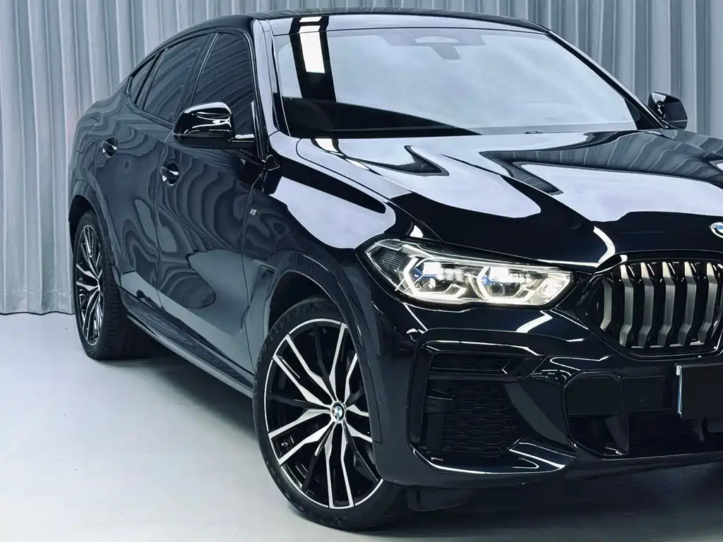 BMW X6 — миниатюра 26