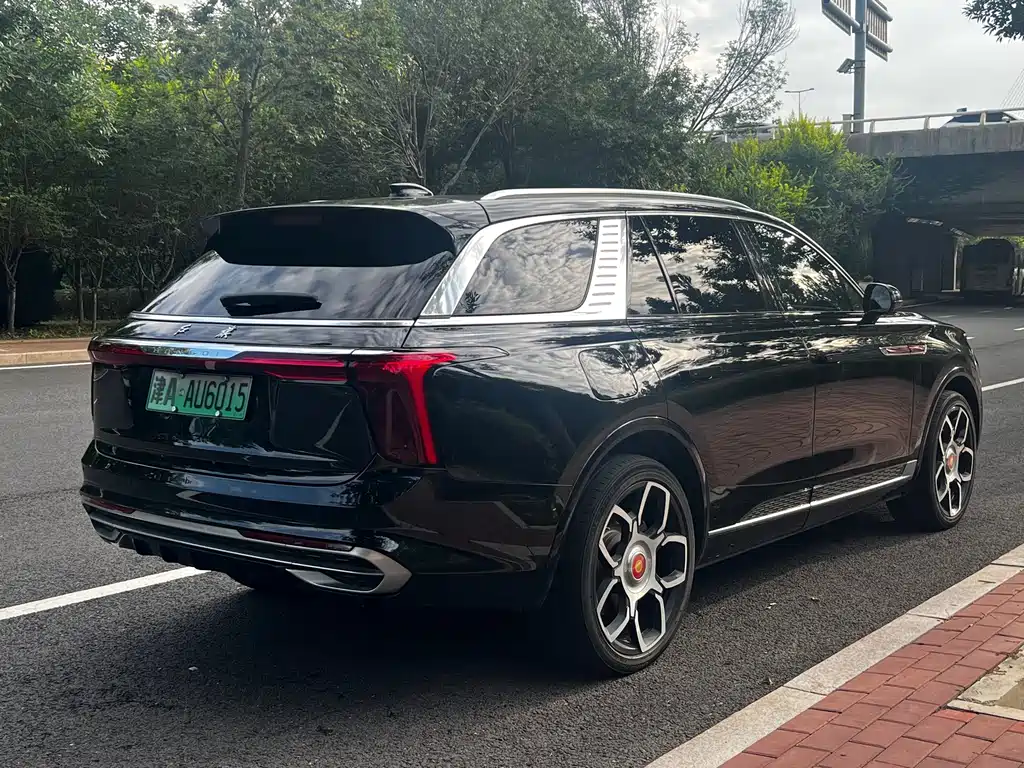 Hongqi Hongqi E-HS9 — миниатюра 13
