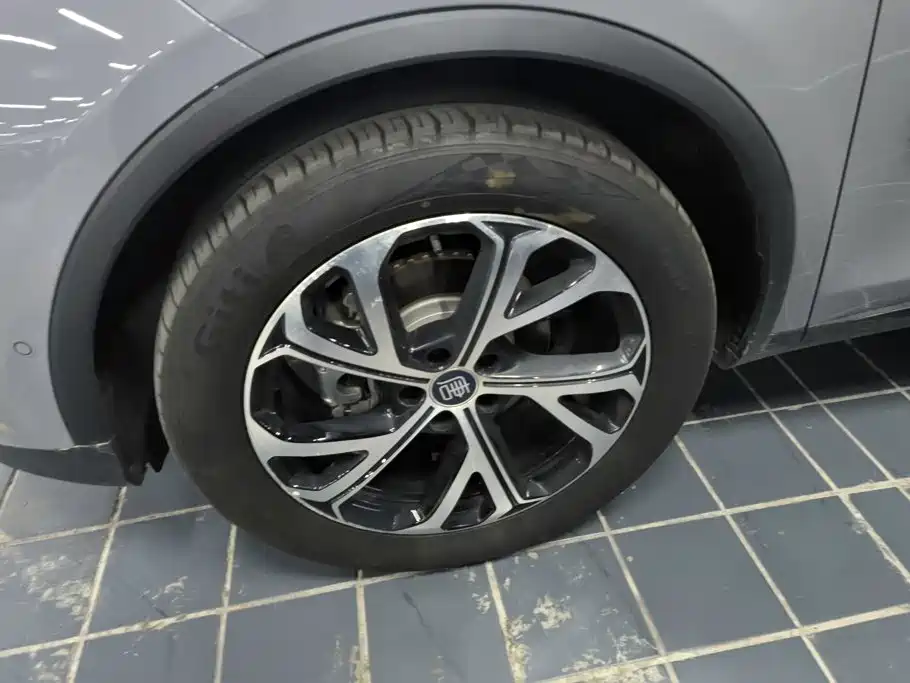 BYD Tang New Energy — миниатюра 6