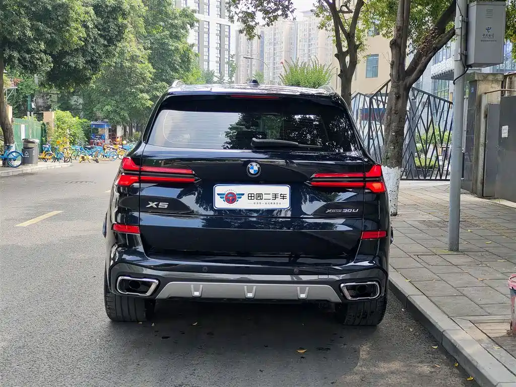 BMW X5 2023 xDrive 30Li M Sport