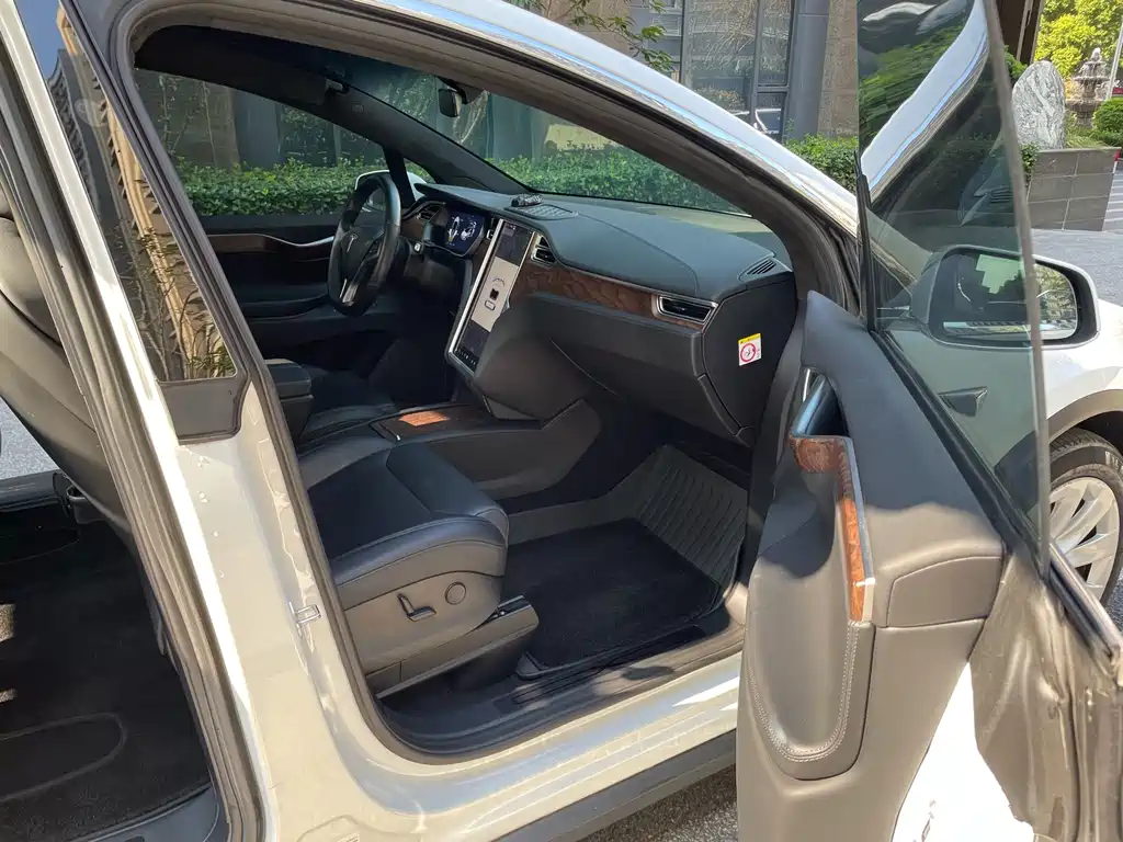 Tesla Model X — миниатюра 12