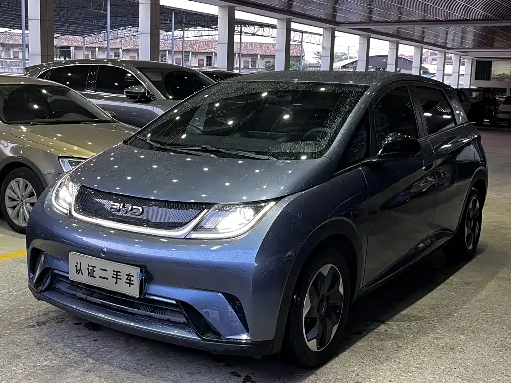 BYD Dolphin