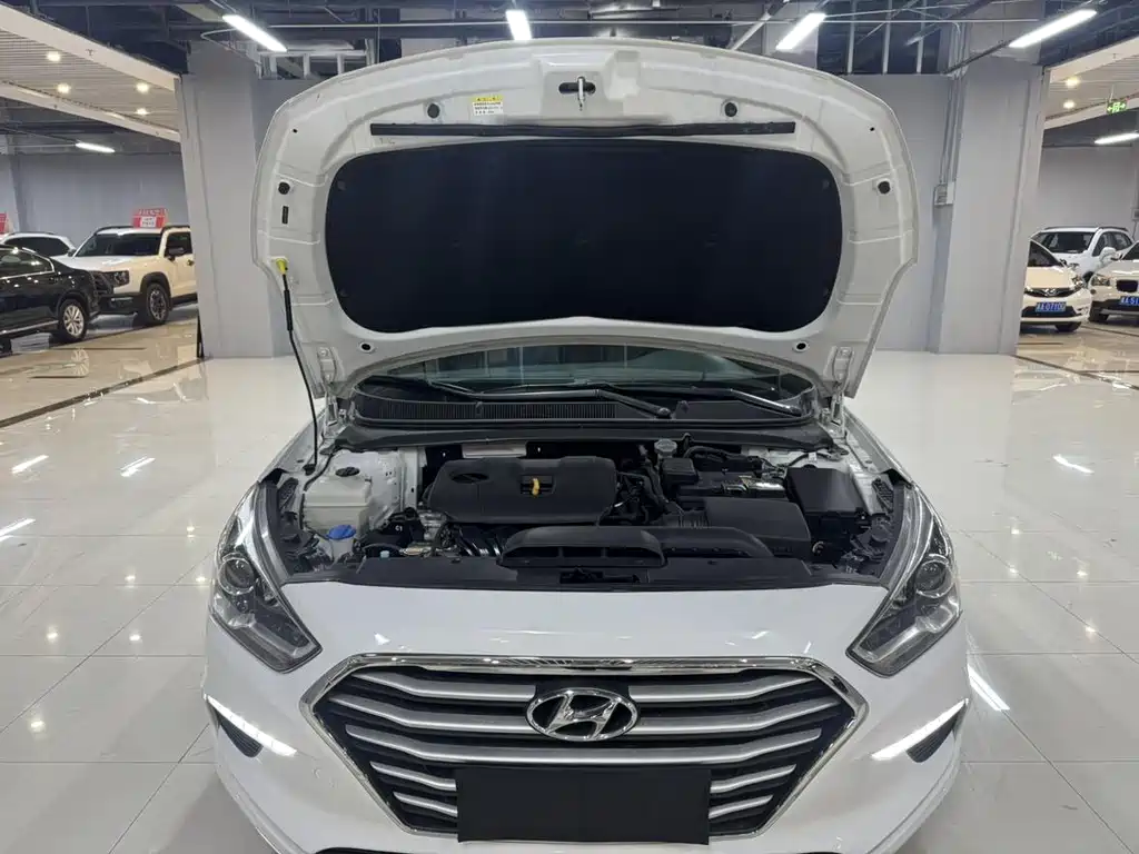 HYUNDAI NAME PICTURE