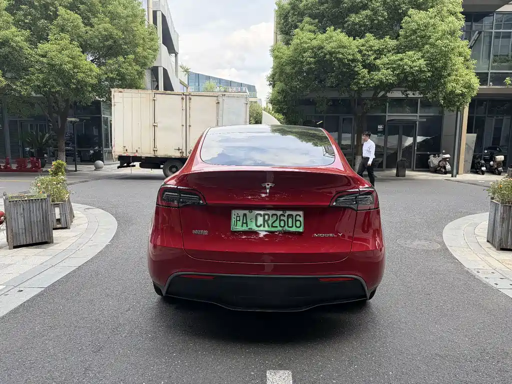 Tesla Model Y — миниатюра 8
