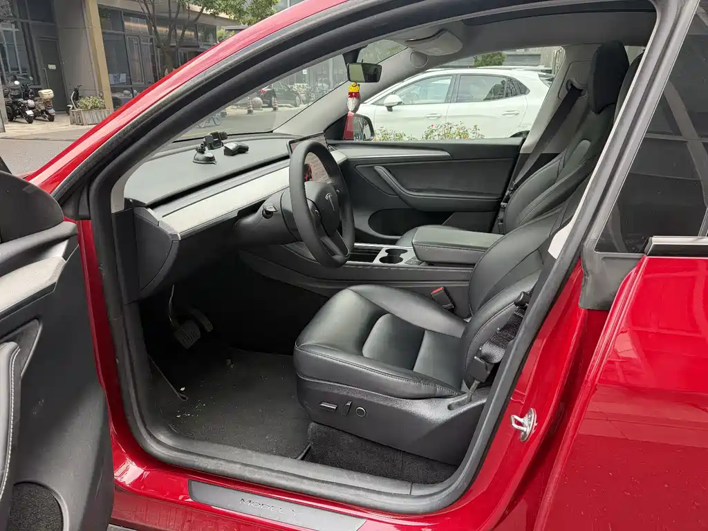 Tesla Model Y — миниатюра 5