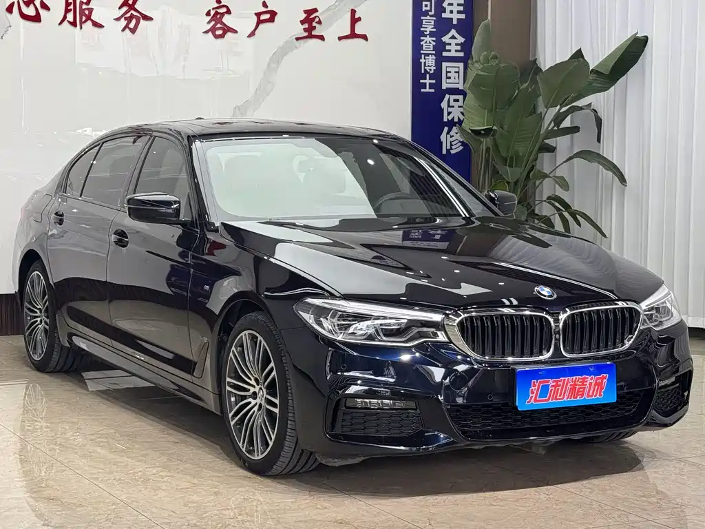 BMW 5 Series 5 2019 530Li Premium M Sport