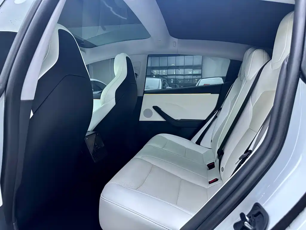 Tesla Model 3 — миниатюра 11