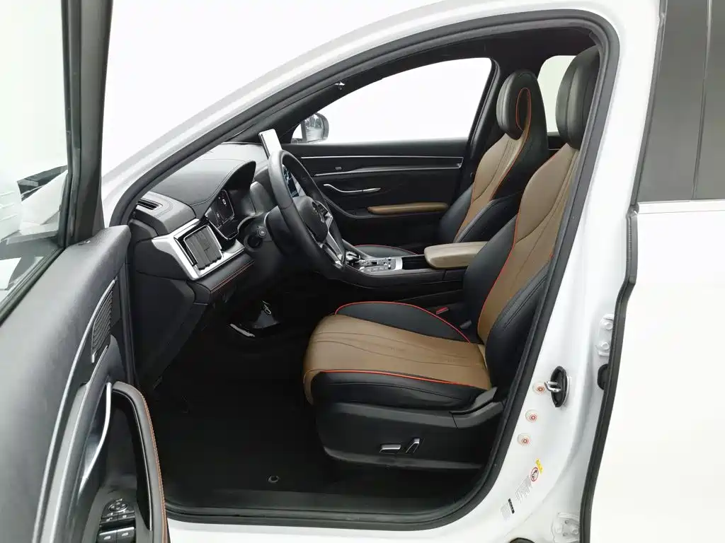 BYD PLUS — миниатюра 10