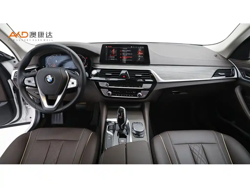 BMW 5 Series — миниатюра 5