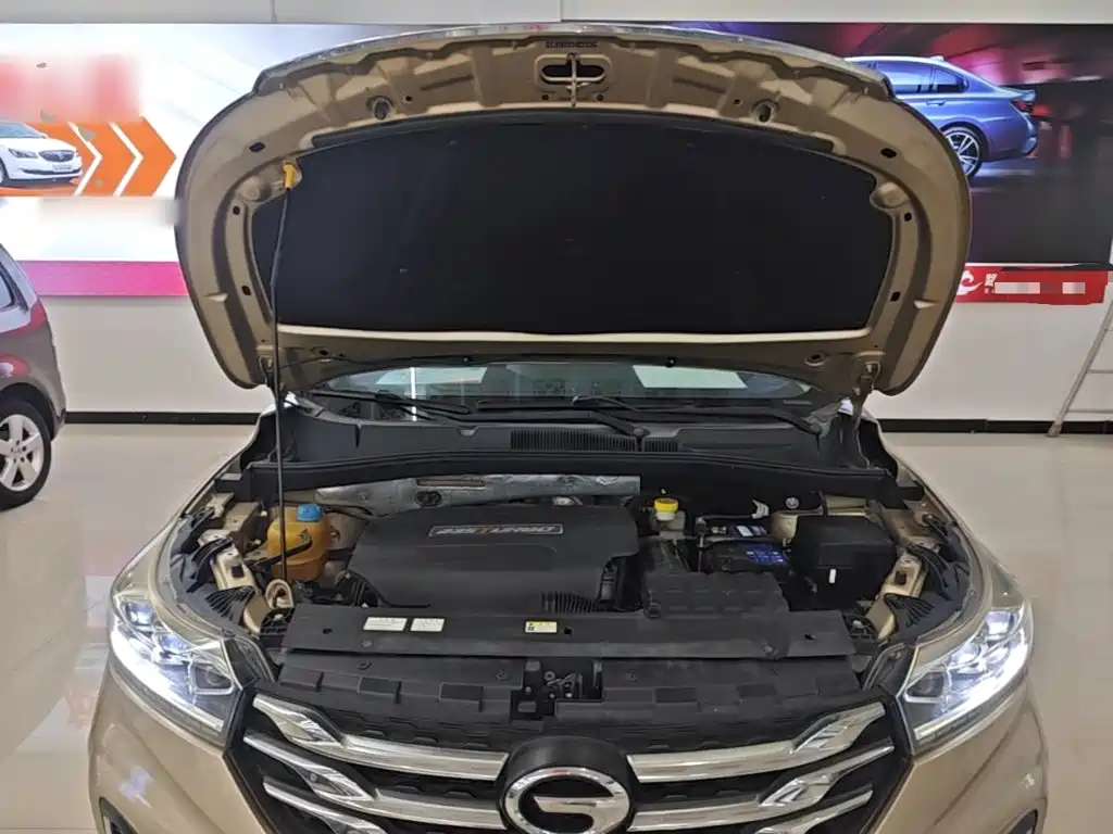 GAC Motor Trumpchi GS4 — миниатюра 20