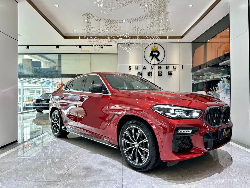 BMW X6 2020 xDrive30i M Sport