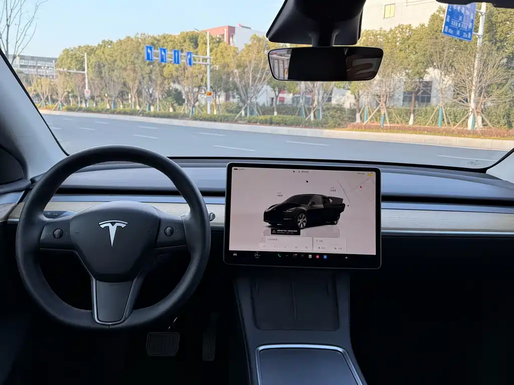 TESLA MODEL Y
