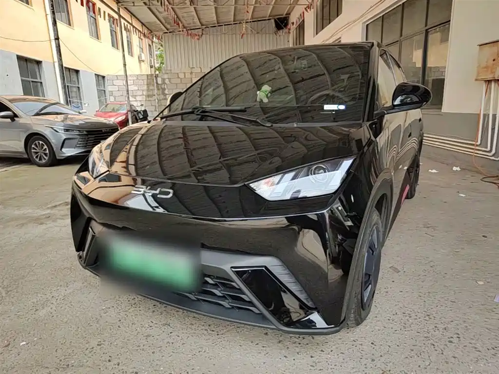 Byd Seagull 2024