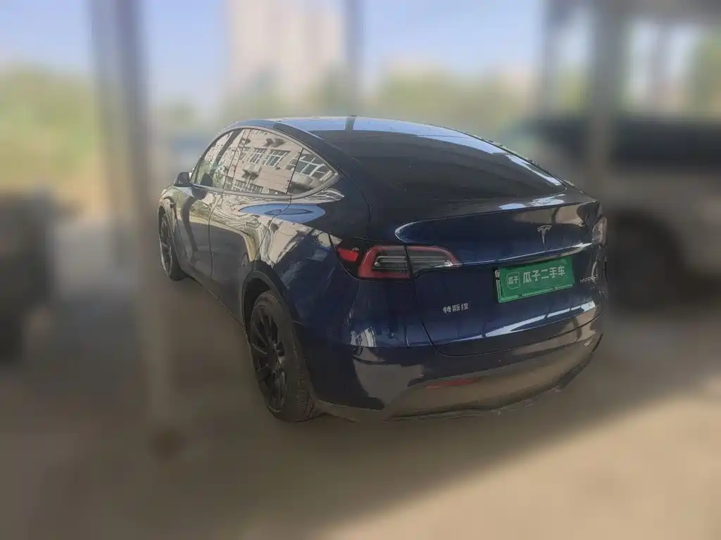 Tesla Model Y — миниатюра 4