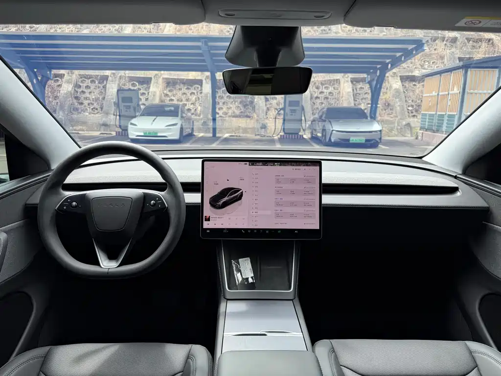 Tesla Model Y — миниатюра 12