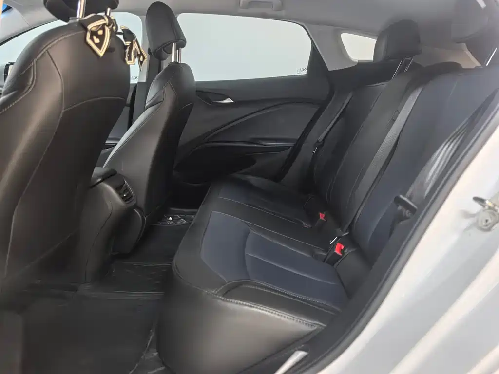 BUICK SLIGHTLY BLUE 6