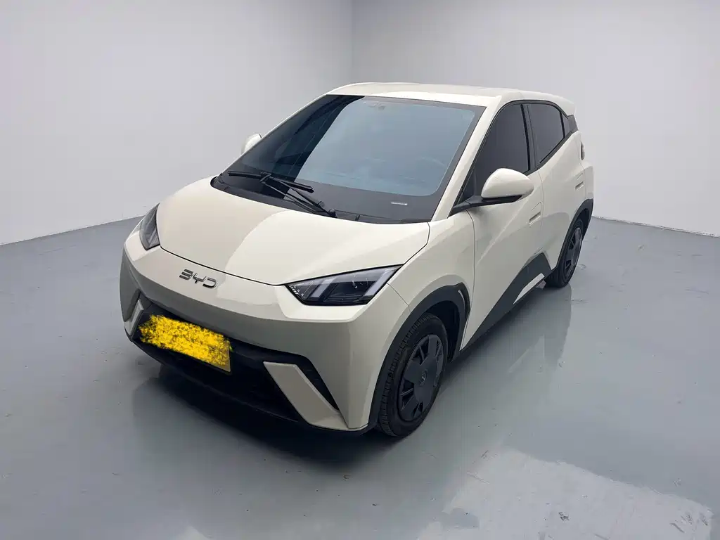 Byd Seagull 2024