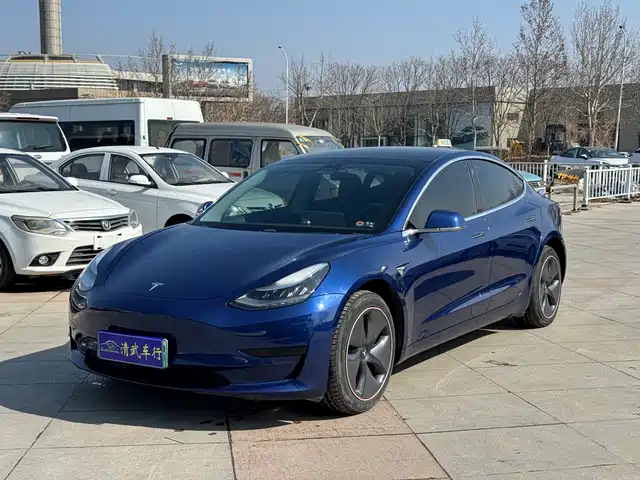TESLA MODEL 3 2020