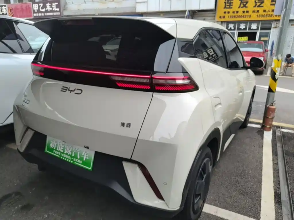 BYD Seagull 2025 305km