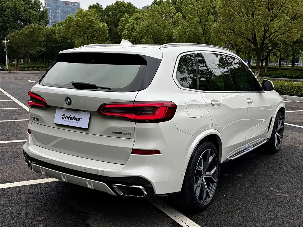 BMW X5 (Import) — миниатюра 5